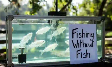 The Future of Sustainable Seafood: Fishing Without Fish